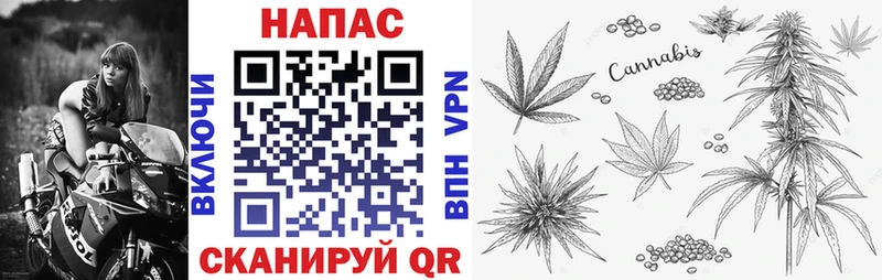 Магазины продажи наркотиков Нижний Тагил А ПВП  Гашиш  Бошки Шишки  Кокаин 