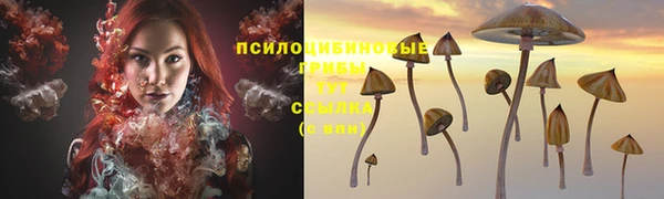 2c-b Белоозёрский