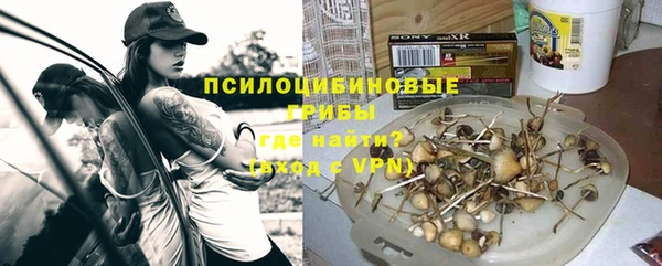 прущая мука Белокуриха