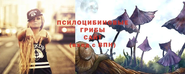 2c-b Белоозёрский